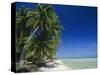 Beach, Rangiroa Atoll, Tuamotu Archipelago, French Polynesia, South Pacific Islands, Pacific-Sylvain Grandadam-Stretched Canvas