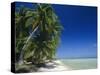 Beach, Rangiroa Atoll, Tuamotu Archipelago, French Polynesia, South Pacific Islands, Pacific-Sylvain Grandadam-Stretched Canvas