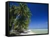 Beach, Rangiroa Atoll, Tuamotu Archipelago, French Polynesia, South Pacific Islands, Pacific-Sylvain Grandadam-Framed Stretched Canvas