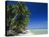 Beach, Rangiroa Atoll, Tuamotu Archipelago, French Polynesia, South Pacific Islands, Pacific-Sylvain Grandadam-Stretched Canvas