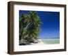 Beach, Rangiroa Atoll, Tuamotu Archipelago, French Polynesia, South Pacific Islands, Pacific-Sylvain Grandadam-Framed Photographic Print