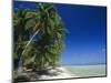 Beach, Rangiroa Atoll, Tuamotu Archipelago, French Polynesia, South Pacific Islands, Pacific-Sylvain Grandadam-Mounted Photographic Print