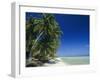 Beach, Rangiroa Atoll, Tuamotu Archipelago, French Polynesia, South Pacific Islands, Pacific-Sylvain Grandadam-Framed Photographic Print