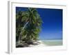 Beach, Rangiroa Atoll, Tuamotu Archipelago, French Polynesia, South Pacific Islands, Pacific-Sylvain Grandadam-Framed Photographic Print