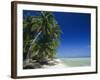 Beach, Rangiroa Atoll, Tuamotu Archipelago, French Polynesia, South Pacific Islands, Pacific-Sylvain Grandadam-Framed Photographic Print