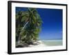 Beach, Rangiroa Atoll, Tuamotu Archipelago, French Polynesia, South Pacific Islands, Pacific-Sylvain Grandadam-Framed Photographic Print