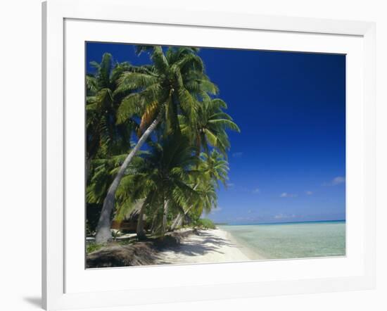 Beach, Rangiroa Atoll, Tuamotu Archipelago, French Polynesia, South Pacific Islands, Pacific-Sylvain Grandadam-Framed Photographic Print