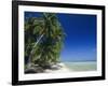 Beach, Rangiroa Atoll, Tuamotu Archipelago, French Polynesia, South Pacific Islands, Pacific-Sylvain Grandadam-Framed Photographic Print