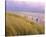 Beach, Rantum, Sylt, Schleswig-Holstein, Germany-null-Stretched Canvas