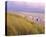 Beach, Rantum, Sylt, Schleswig-Holstein, Germany-null-Stretched Canvas