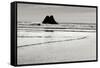 Beach Reflection 5-Lee Peterson-Framed Stretched Canvas