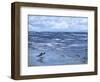 Beach Reflections-Sher Sester-Framed Giclee Print