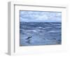 Beach Reflections-Sher Sester-Framed Giclee Print