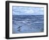 Beach Reflections-Sher Sester-Framed Giclee Print