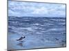 Beach Reflections-Sher Sester-Mounted Giclee Print