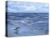 Beach Reflections-Sher Sester-Stretched Canvas