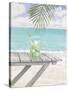 Beach Refreshment-Arnie Fisk-Stretched Canvas