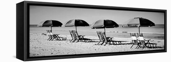 Beach Reunion-Gail Peck-Framed Stretched Canvas