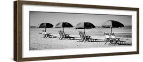 Beach Reunion-Gail Peck-Framed Photographic Print