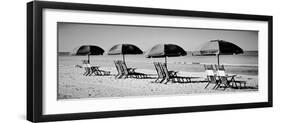 Beach Reunion-Gail Peck-Framed Photographic Print