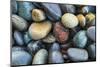 Beach rocks, Juan De Fuca Trail, near Jordan River, Vancouver Island, British Columbia, Canada-Stuart Westmorland-Mounted Photographic Print