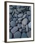 Beach Rocks on Rialto Beach, Olympic National Park, Wa-null-Framed Premium Photographic Print