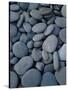 Beach Rocks on Rialto Beach, Olympic National Park, Wa-null-Stretched Canvas