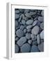 Beach Rocks on Rialto Beach, Olympic National Park, Wa-null-Framed Photographic Print