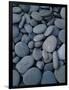 Beach Rocks on Rialto Beach, Olympic National Park, Wa-null-Framed Photographic Print