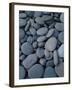 Beach Rocks on Rialto Beach, Olympic National Park, Wa-null-Framed Photographic Print