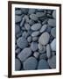 Beach Rocks on Rialto Beach, Olympic National Park, Wa-null-Framed Photographic Print