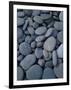 Beach Rocks on Rialto Beach, Olympic National Park, Wa-null-Framed Photographic Print