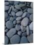 Beach Rocks on Rialto Beach, Olympic National Park, Wa-null-Mounted Photographic Print