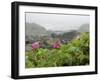 Beach Roses Along Marginal Way, Ogunquit, Maine, USA-Lisa S^ Engelbrecht-Framed Photographic Print