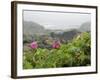 Beach Roses Along Marginal Way, Ogunquit, Maine, USA-Lisa S^ Engelbrecht-Framed Photographic Print