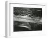 Beach, San Francisco, 1984-Brett Weston-Framed Photographic Print