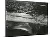 Beach, San Francisco, 1984-Brett Weston-Mounted Photographic Print