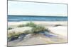 Beach Sand Dune II-Isabelle Z-Mounted Art Print