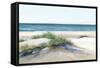 Beach Sand Dune II-Isabelle Z-Framed Stretched Canvas