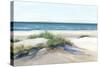 Beach Sand Dune II-Isabelle Z-Stretched Canvas