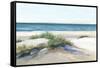 Beach Sand Dune II-Isabelle Z-Framed Stretched Canvas
