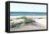 Beach Sand Dune II-Isabelle Z-Framed Stretched Canvas