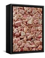 Beach Sand-Micro Discovery-Framed Stretched Canvas