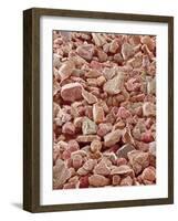 Beach Sand-Micro Discovery-Framed Photographic Print