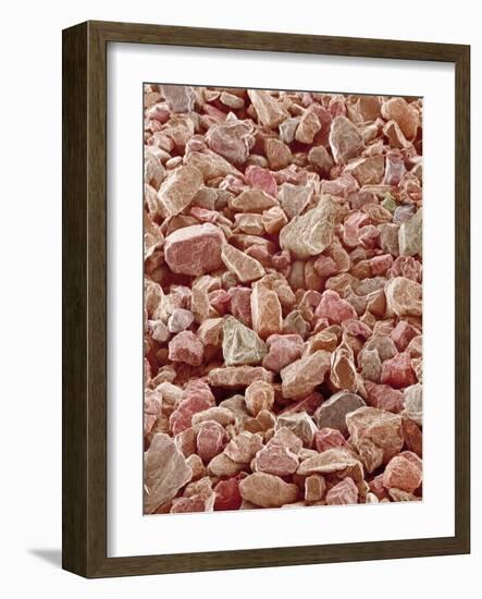 Beach Sand-Micro Discovery-Framed Photographic Print