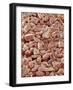Beach Sand-Micro Discovery-Framed Photographic Print