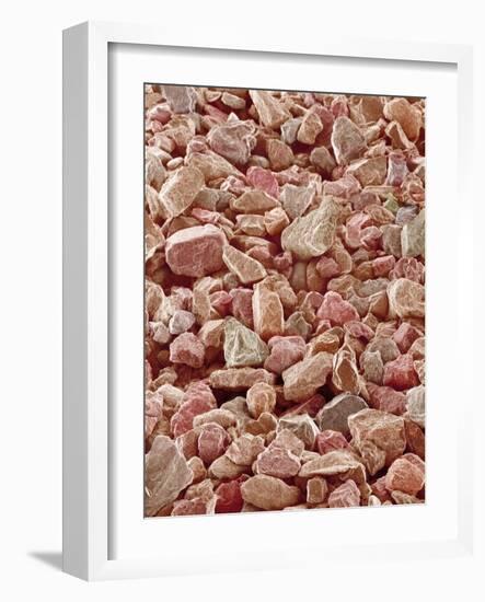 Beach Sand-Micro Discovery-Framed Photographic Print