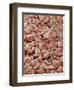 Beach Sand-Micro Discovery-Framed Photographic Print