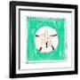 Beach Sandollar-Ormsby, Anne Ormsby-Framed Art Print