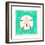 Beach Sandollar-Ormsby, Anne Ormsby-Framed Art Print